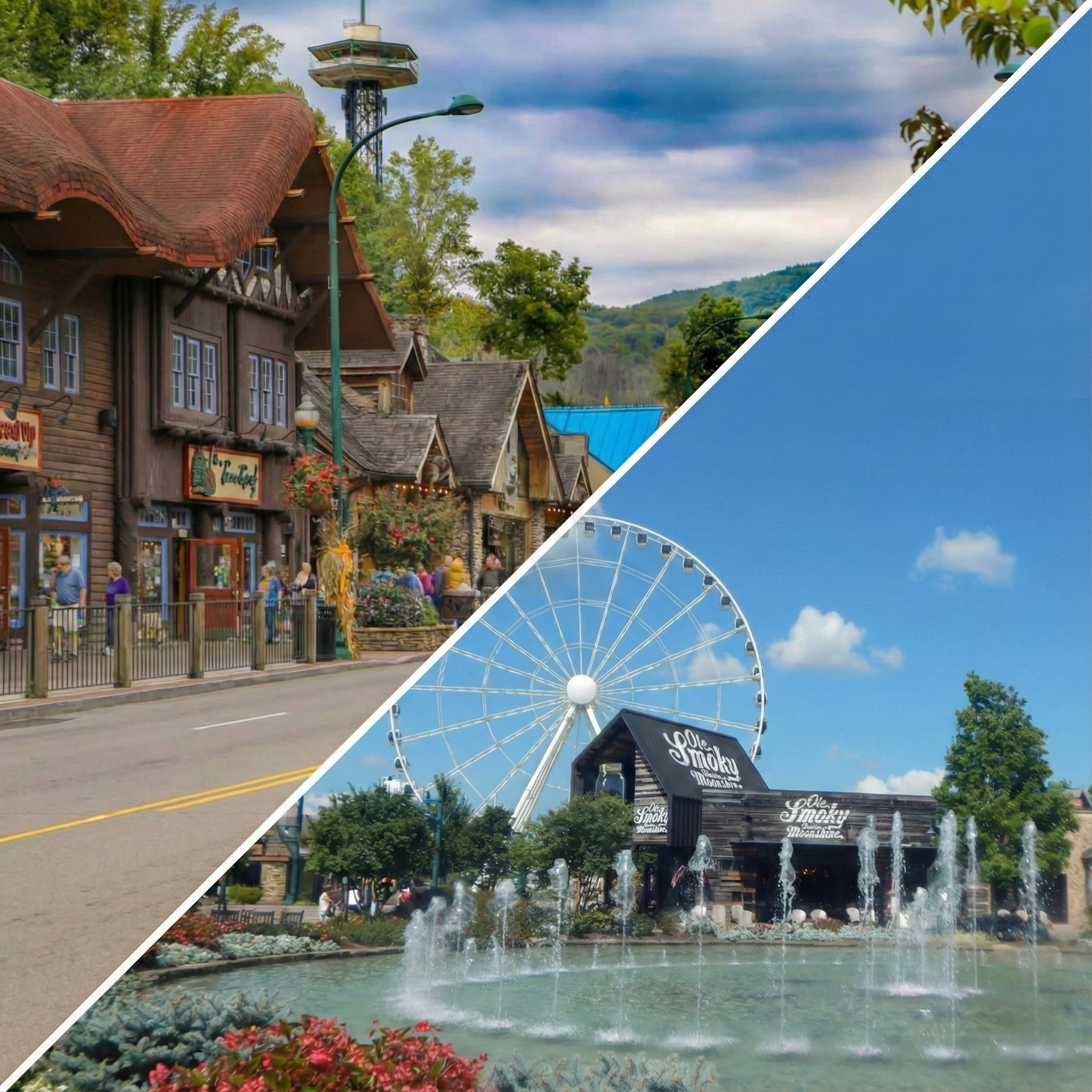 Panoramic view of the Great Smoky Mountains